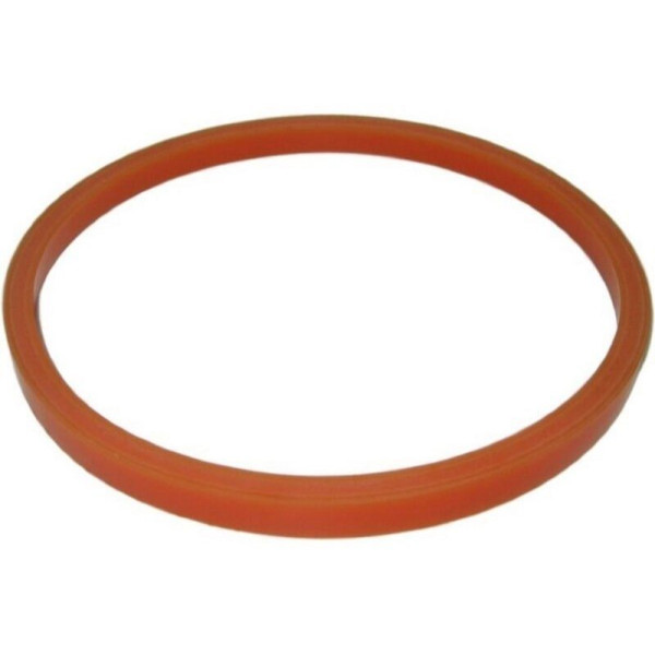 Кольцо уплотнительное для корпуса фильтра Гейзер-1Г мех.