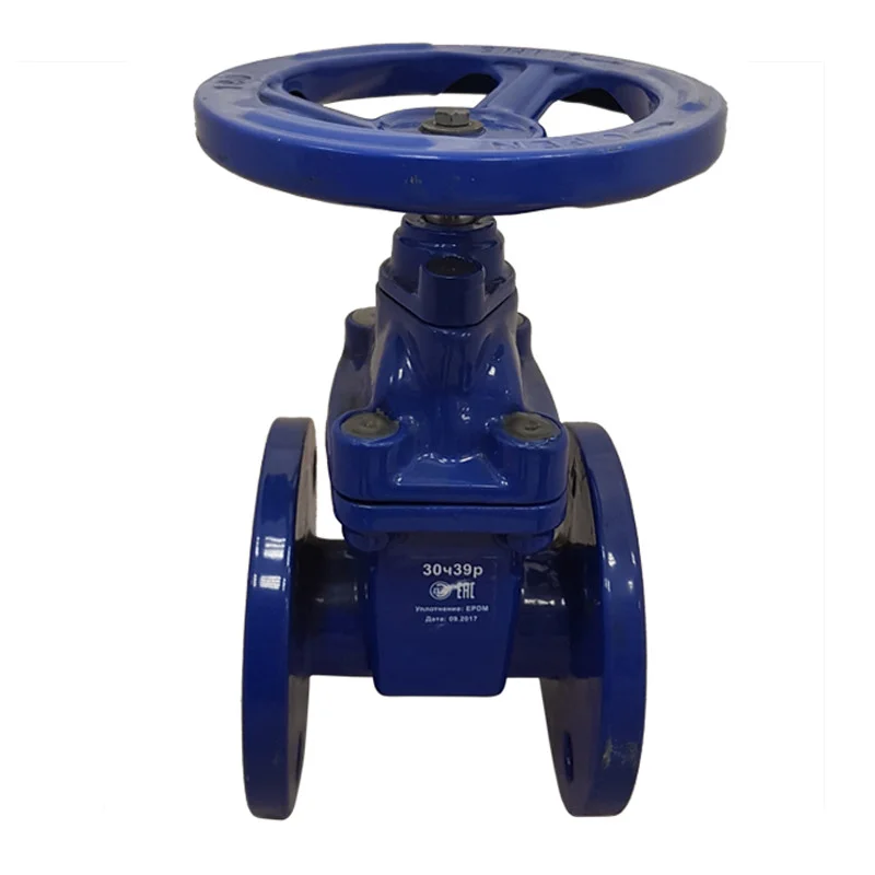 139444018_w640_h640_zadvizhka-chugunnaya-s