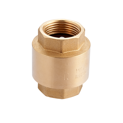 Клапан обратный STM CBCV0001 1",    с пластиковым сердечником