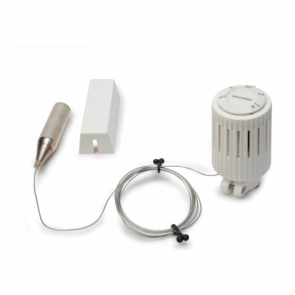 Головка термостатическая R462 с выносным датчиком L=2м, GIACOMINI