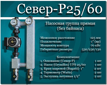 Насосная группа прямая Север (P25/60)