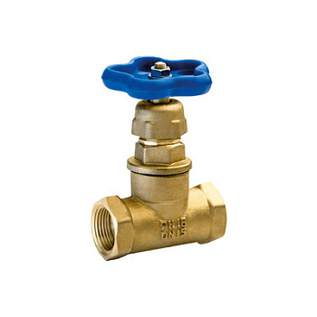 Вентиль БОЛОГОЕ 15БЗр Ду 50    