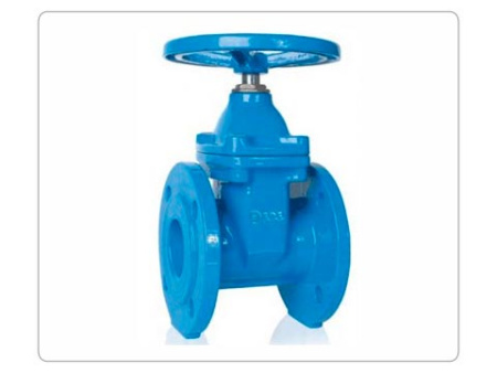 zadvizhki-s-obrezinennym-klinom-30ch39r